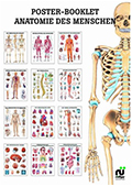 Mini Poster Booklet Anatomie des Menschen