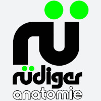 Rüdiger Anatomie