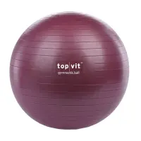 top | vit® gymnastic.ball - Ausstellungsstück Ø 65 cm | brombeere - B-Ware