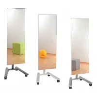 pader.korrekturspiegel, fahrbar 