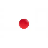 ARTZT neuro BrainBoost Ball rot