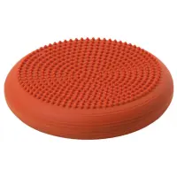 Togu®  Dynair® Ballkissen® Senso, Ø 30 cm terra