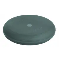 Togu® Dynair® Ballkissen® Senso mit Actisan 