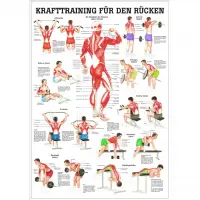 Krafttraining für den Rücken Mini-Poster 24 x 34 cm | unlaminiert