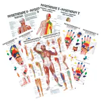 "Physiotherapie I-IX" 