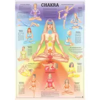 Lehrmittel "CHAKRA" Lehrtafel 70 x 100 cm | unlaminiert
