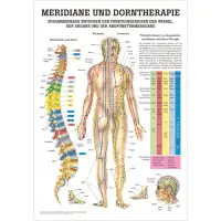 Meridiane und Dorntherapie Lehrtafel 70 x 100 cm | laminiert