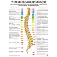 Wirbeltherapie nach Dorn Mini-Poster 24 x 34 cm | unlaminiert