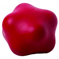 Rot
