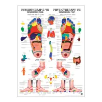 "Physiotherapie I-IX" Physiotherapie VII-Reflexzonen Fuß | Poster 50 x 70 cm | unlaminiert
