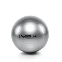 Original Pezzi® Gymnastikball Ø 53 cm | silber