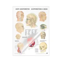 Miniposter "Körperakupunktur" Kopfakupunktur | Mini-Poster 24 x 34 cm | laminiert