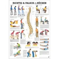 Wirbelsäulengymnastik u. Richtig & Falsch für den Rücken Richtig & Falsch für den Rücken | Mini-Poster 24 x 34 cm | unlaminiert