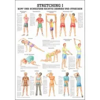 "Stretching I, II und III'' Stretching I Kopf u. Schulter | Lehrtafel 70 x 100 cm | laminiert