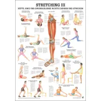 "Stretching I, II und III'' Stretching III Hüfte u. Knie | Lehrtafel 70 x 100 cm | laminiert