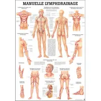 "Das Lymphsystem des Menschen" und "Lymphdrainage" Manuelle Lymphdrainage | Mini-Poster 24 x 34 cm | unlaminiert