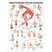 Krafttraining für die Schulter Mini-Poster 24 x 34 cm | laminiert