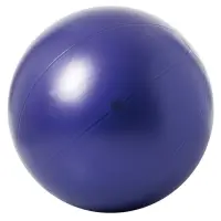 Togu® Theragym® Ball ABS®