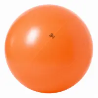 Togu® Theragym® Ball - Ø 120 cm