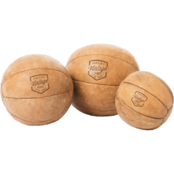 ARTZT Vintage Series Medizinball 
