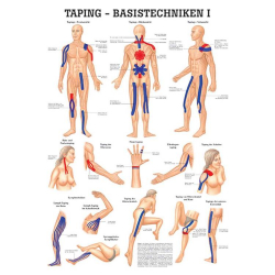 Taping - Basistechniken I Taping - Basistechniken I  | Lehrtafel 70 x 100 cm | laminiert