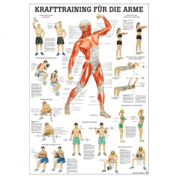 Krafttraining für die Arme Mini-Poster 24 x 34 cm | unlaminiert