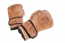 ARTZT Vintage Series Boxhandschuhe 