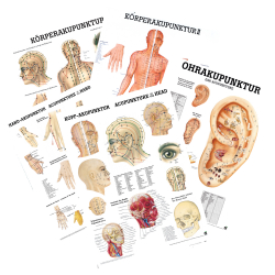 Miniposter "Körperakupunktur" 