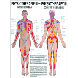 Physiotherapie III - Bindegewebsmassagen Mini-Poster 24 x 34 cm | unlaminiert
