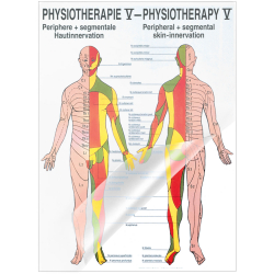 "Physiotherapie I-IX" Physiotherapie V-Hautinnervation | Mini-Poster 24 x 34 cm | laminiert