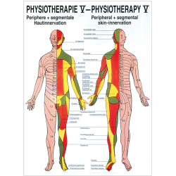 "Physiotherapie I-IX" Physiotherapie V-Hautinnervation | Mini-Poster 24 x 34 cm | unlaminiert