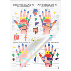 "Physiotherapie I-IX" Physiotherapie VI-Reflexzonen Hand | Mini-Poster 24 x 34 cm | laminiert