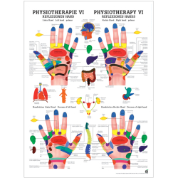 "Physiotherapie I-IX" Physiotherapie VI-Reflexzonen Hand | Mini-Poster 24 x 34 cm | unlaminiert