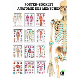 Mini Poster Booklet Booklet I - "Anatomie"