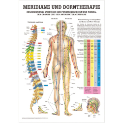 Meridiane und Dorntherapie Mini-Poster 24 x 34 cm | unlaminiert