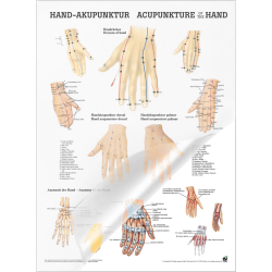 Miniposter "Körperakupunktur" Handakupunktur | Poster 50 x 70 cm | laminiert