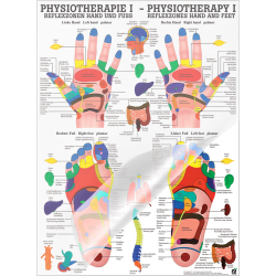 "Physiotherapie I-IX" Physiotherapie I-Reflexzonen Hand- u. Fuß | Poster 50 x 70 cm | laminiert