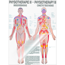 Physiotherapie III - Bindegewebsmassagen Poster 50 x 70 cm | laminiert