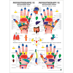 "Physiotherapie I-IX" Physiotherapie VI-Reflexzonen Hand | Poster 50 x 70 cm | unlaminiert