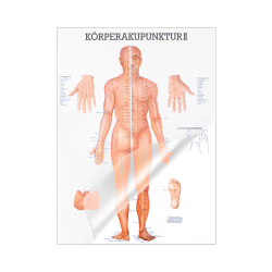 Miniposter "Körperakupunktur" Körperakupunktur II | Mini-Poster 24 x 34 cm | laminiert