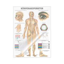 Miniposter "Körperakupunktur" Körperakupunktur | Mini-Poster 24 x 34 cm | laminiert
