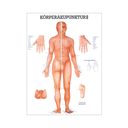 Miniposter "Körperakupunktur" Körperakupunktur II | Mini-Poster 24 x 34 cm | unlaminiert