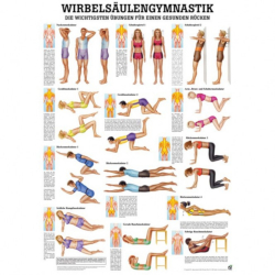 Wirbelsäulengymnastik u. Richtig & Falsch für den Rücken Wirbelsäulengymnastik | Mini-Poster 24 x 34 cm | laminiert
