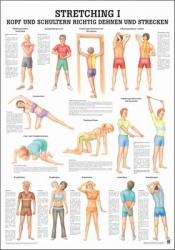 "Stretching I, II und III'' Stretching I Kopf u. Schulter | Lehrtafel 70 x 100 cm | laminiert
