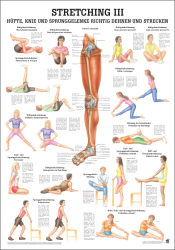 "Stretching I, II und III'' Stretching III Hüfte u. Knie | Mini-Poster 24 x 34 cm | unlaminiert
