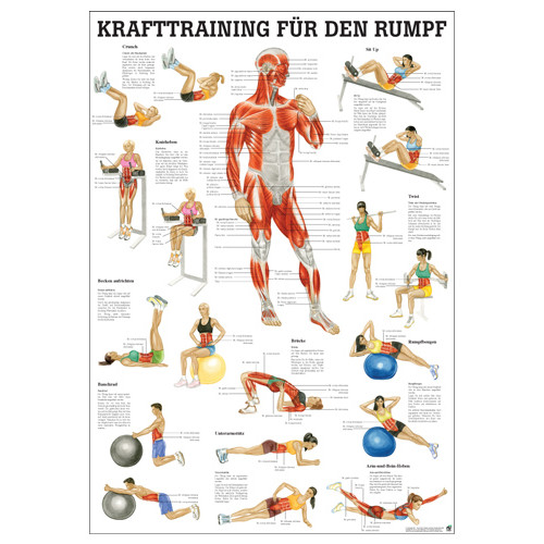 Krafttraining für den Rumpf Lehrtafel 70 x 100 cm | unlaminiert
