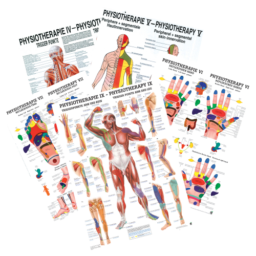 Öffne Lehrmittel Physiotherapie I-IX