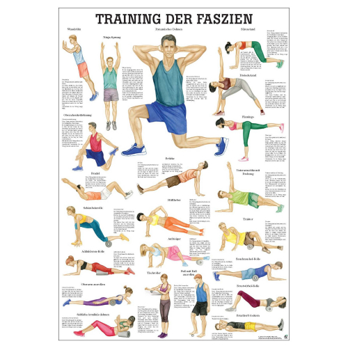 Öffne Lehrmittel "Training der Faszien"