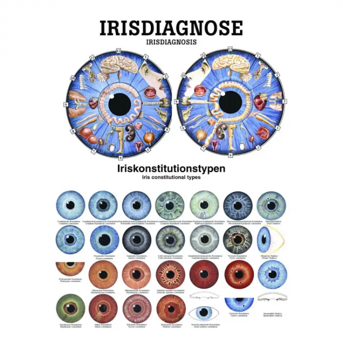 Miniposter und Poster der "Der Irisdiagnose u. des Auges" Irisdiagnostik | Poster 70 x 100 cm | unlaminiert