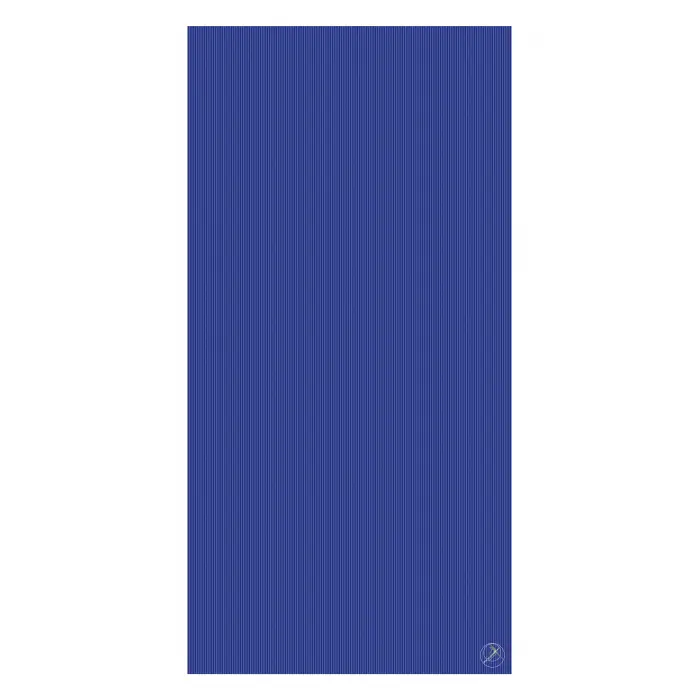RehaMat Professional, 200 x 100 x 2,5 cm blau